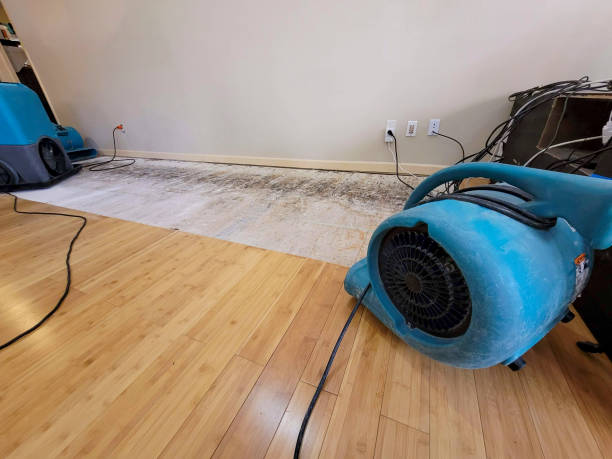 Professional Flood Damage Cleanup technician working in Mina, NV
